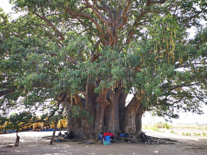 Fadial & Joal-Fadiouth Day Trip