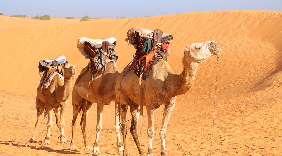 Weekend in Lompoul Desert